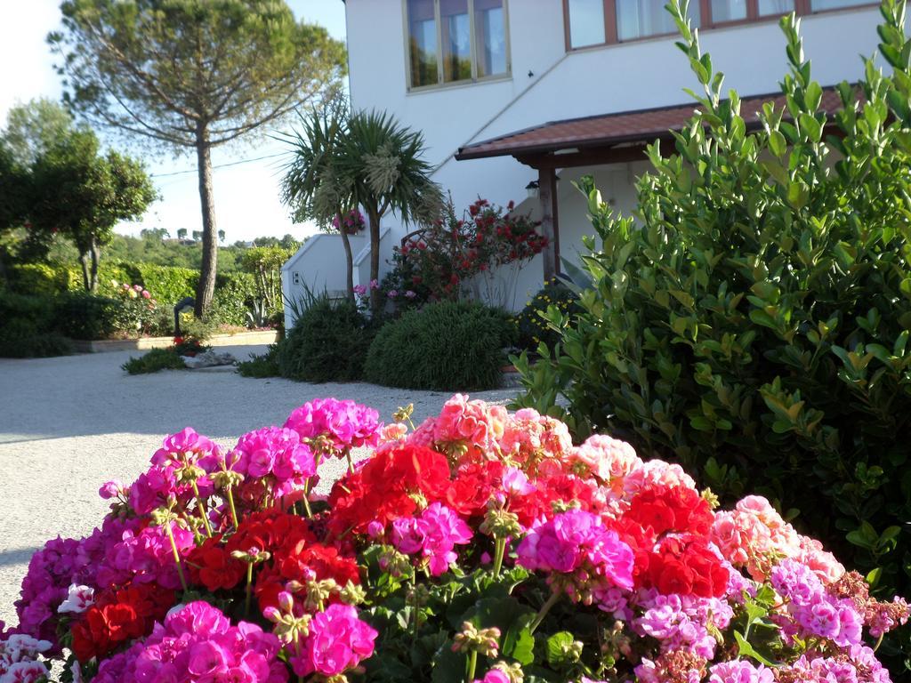 Bed And Breakfast " Il Tesoro Di Mario " Фальконара-Мариттіма Екстер'єр фото